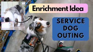 Service Dog Training at Costco: Heel Work, Ignoring Food & Mental Enrichment Ideas For Your Dog