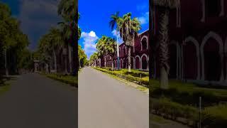 Beauty of AMU  Aligarh Muslim University