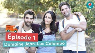 EN VADROUILLE ! Épisode 1 : Domaine Jean-Luc Colombo | Le Petit Ballon