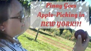 Pinay goes apple picking in New York | dillemmaruth