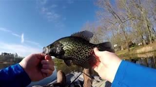 Kayak Bass Fishing an Amazing Pond! I CALLED IT!! (South Carolina Fishing)