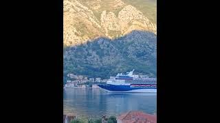 Ocean monster enters Kotor Bay #shorts #ships #sea #kotor #travel #montenegro