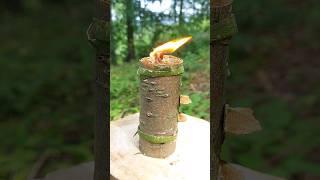 A candle made from something I found in the forest. #survival #bushcraft #skills #camping #outdoors