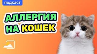 Подкаст: аллергия на кошек