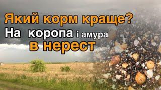 Рибалка на карпа. Тестування корму на суточну рибалку . На що карп краще реагує?