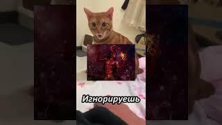 Бог прекрасный? #рек #рекомендации #хочуврек #выбери #кот #котик #собака #иисус #cat #trending