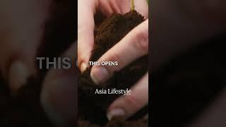 Ready to explore this opportunity? Visit Asia Lifestyle Magazine or comment "Island" below.