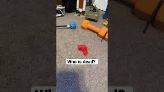 Impossible to guess who’s dead￼ #ducker #duck #funnymemes #memefunny #funny #meme #rubberduck