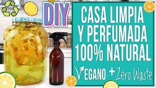 DIY LIMPIADOR MULTIUSOS DE CÍTRICOS - BARATO, NATURAL, ZERO WASTE, VEGANO,  CERO BASURA - Mixi