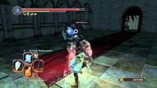 Dark souls 2 Ring of Blades +2 & Washing Pole at NG++