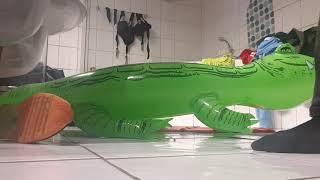 Looner  Walking in my crocodile