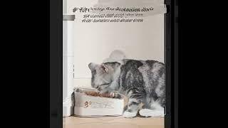 Discover the Future of Feeding: PETLIBRO Automatic Cat Feeders.