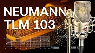 Neumann TLM103  История Тест. Опыт 10 лет использования.