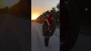 CRF 450RL Wheelie (450L)