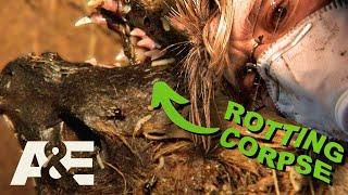 What's that SMELL?! - Top 3 Moments | Billy the Exterminator | A&E