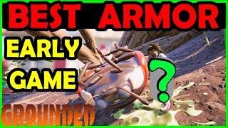 Best Armor Early Game in Grounded