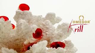 Commercial - Food supplements Krill. Video product presentation created by Productony