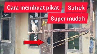 cara mudah membuat pikat burung jeplak/sutrek cocok bagi pemula