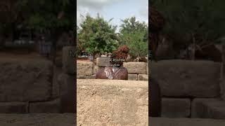 Morning routine / African village style #shorts