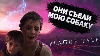 A Plague Tale Innocence за 15 минут | Сюжет вкратце