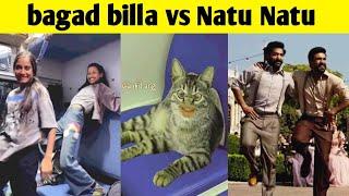 bagad billa vs Natu Natu movie / bangad billa roast nibbi #bangadbilla #viral #treanding