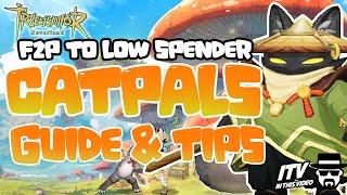 CATPALS | STEP BY STEP GUIDE | TIPS #treeofsavior #treeofsaviorneverland