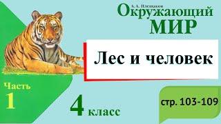 Лес и человек. Окружающий мир. 4 класс, 1 часть. Учебник А. Плешаков стр. 103-109