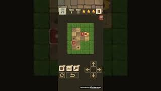 Sokoban Meat-Maze puzzle-Push Meat Maze. Level 20. Walkthrough.