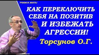 Как переключить себя на позитив и избегать агрессии. Учимся жить. Торсунов О.Г.