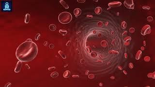 Regulate Blood Circulation Frequency: Lower Blood Pressure Subliminal