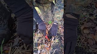 Поиск раритетов и кладов #metaldetecting #коп #поисккладов #поискмонет