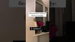 Нижнее белье ручной работы ️ #белье #юмор #женское #отношения #нижнеебелье #бренд #женскаяодежда