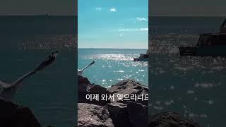 안 올 거면서(진시몬) 연주 윤재한