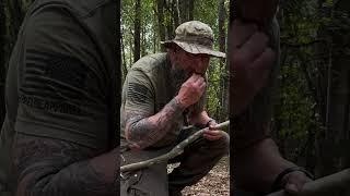 Big Hunt for the Yard Bird