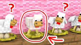 Poor Chicken, Can't Lay Eggs - Sad Story - Minecraft Animation