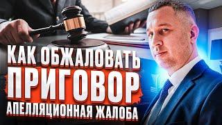 Апелляционная жалоба | Как обжаловать приговор