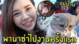 พานาซ่าไปเที่ยว Pet expo ครั้งแรก กลัวมาก