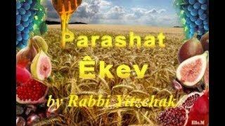 #46 - Torah Parashah Eikev (Cause & Effect "as a result)