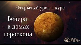 ОТКРЫТЫЙ УРОК  1 КУРС.  ВЕНЕРА В ДОМАХ ГОРОСКОПА. ФИНАНСЫ И БРАК. ШКОЛА АСТРОЛОГИИ ЕЛЕНЫ НЕГРЕЙ