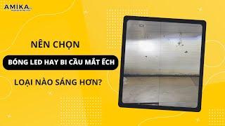 Có nên thay bóng đèn Led cho ô tô hay dùng bi cầu mini mắt ếch?