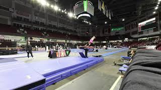 Gymnastics Level 4 Vault #2 in 3D / VR