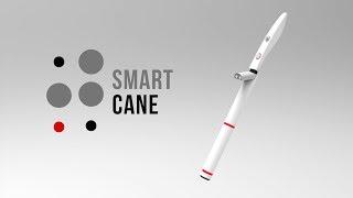 Smart Cane