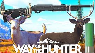 Deer Slug Hunt | Way of the Hunter