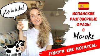 Испанский разговорный сленг со словом МОЛОКО (La LECHE) | | Как общаться как НОСИТЕЛЬ