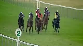 Horse Racing Death 20 - Dancing Freddy at Yarmouth Racecourse