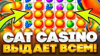  Я В ШОКЕ ОТ КЭТ КАЗИНО - Честный Обзор Сайта | Кэт Казино Слоты | Cat Casino Промокод