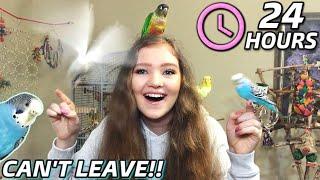 Living in My BIRD ROOM for 24 HOURS!! *Birds gone completely wild*