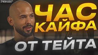 ЧАС КАЙФА ОТ ТЕЙТА! Все новые Интервью - Перевод от Бейтмана.