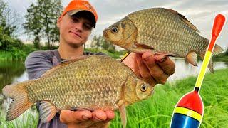 КАРАСИ ЛАПТИ ПРУТ В КУВШИНКУ! Ловля крупного карася в кувшинках на поплавок! Карась в кувшинках 2022