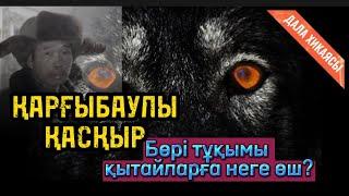 ҚАРҒЫБАУЛЫ ҚАСҚЫР. Бөрі тұқымы қытайларға неге өш? ДАЛА ХИКАЯСЫ.